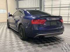 2013  Audi  S5 3.0T Quattro   Premium Plus